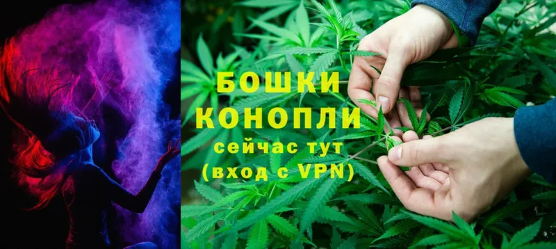 как найти закладки  Пионерский  кракен рабочий сайт  Канабис White Widow 